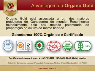 A vantagem da Organo Gold

Organo Gold está associada a um dos maiores
produtores de Ganoderma do mundo. Reconhecida
mundialmente pelo seu método patenteado de
preparação no cultivo da marca líder de

    Ganoderma 100% Orgânico e Certificado




 Certificados Internacionais:★ HACCP,GMP, ISO 9001:2000, Halal, Kosher

 Patent on Ganoderma Lucidum Products & Preparation Method (Patent Number ZL01101789.9)
 