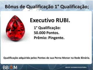 Bônus de Qualificação 1° Qualificação;
Executivo RUBI.
1° Qualificação:
50.000 Pontos.
Prêmio: Pingente.
Qualificação adquirida pelos Pontos de sua Perna Menor na Rede Binária.
 