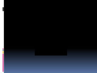 Plano de propag suzana 23