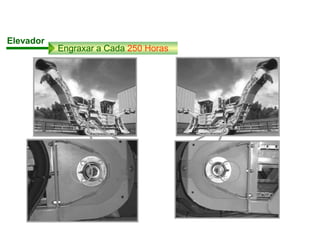Elevador
Engraxar a Cada 250 Horas
 