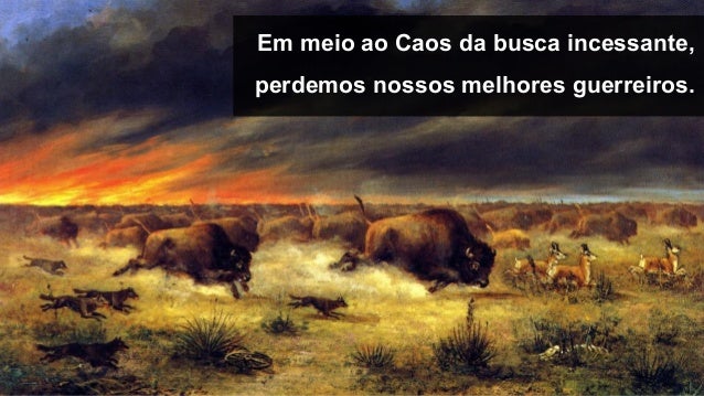 O que e stock options