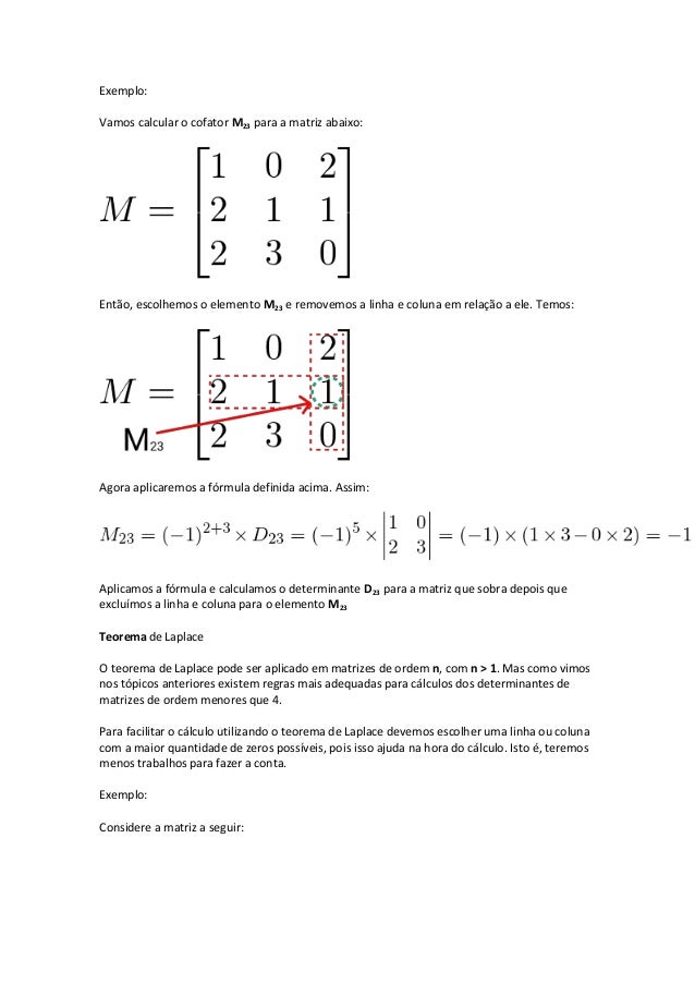 Calcule O Determinante Das Matrizes A Seguir Plano De Trabalho Matrizes E Determinantes
