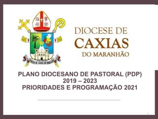 PLANO DIOCESANO DE PASTORAL (PDP)
2019 – 2023
PRIORIDADES E PROGRAMAÇÃO 2021
1
 