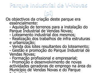 Os objectivos da criação deste parque era
 essencialmente:
 - Aquisição de terrenos para a instalação do
 Parque Industrial de Vendas Novas;
 - Loteamento industrial dos mesmos;
 - Realização dos trabalhos de infra estruturas
 e urbanização;
 - Venda dos lotes resultantes do loteamento;
 - Gestão e promoção do Parque Industrial de
 Vendas Novas;
 - Formação profissional e empresarial;
 - Promoção e desenvolvimento de novas
 actividades geradoras de emprego na área do
 Município de Vendas Novas e do Parque
 