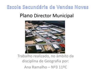 Plano Director Municipal




Trabalho realizado, no âmbito da
   disciplina de Geografia por:
    Ana Ramalho – Nº3 11ºC
 