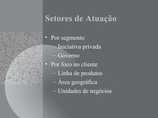 Setores de Atuação
• Por segmento
– Iniciativa privada
– Governo
• Por foco no cliente
– Linha de produtos
– Área geográfica
– Unidades de negócios
 