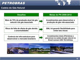 Cadeia do Gás Natural


                 Desafios                        Metas do PN 2008-2012

   Mais de 75% da produção atual de gás      Investimentos para desenvolver a
        natural é de gás associado            produção de gás não-associado


   Risco de falta de oferta de gás devido    GNL irá garantir flexibilidade para
             a anormalidades                         evitar tais riscos


      Carência de infra-estrutura para        Investimentos totais (Petrobras e
     desenvolver o mercado brasileiro       parceiros) na cadeia de gás natural no
                                               Brasil somam US$ 19,6 bilhões




                                                                                     18
 