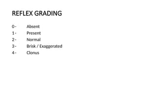 Dtrgrading Comprehensive Examination of Superficial and Deep Tendon Reflexes in ...