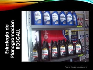 Paloma Gallegos Mercadotecnia
 