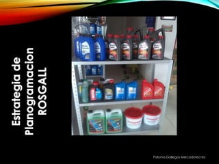 Paloma Gallegos Mercadotecnia
 