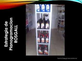 Paloma Gallegos Mercadotecnia
 