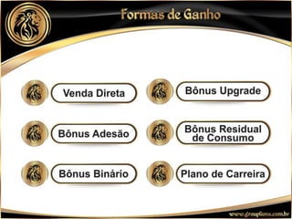 Apresentação Lions