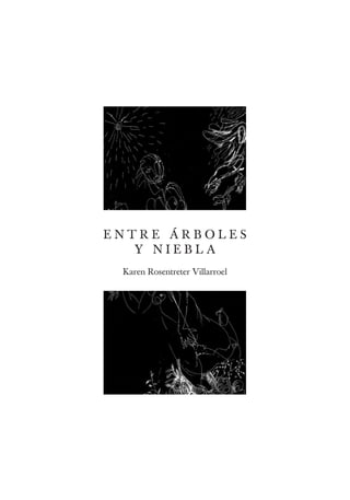 ENTRE ÁRBOLES
   Y NIEBLA
 Karen Rosentreter Villarroel
 
