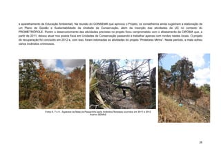 26 
e aparelhamento da Educação Ambiental). Na reunião do CONSEMA que aprovou o Projeto, os conselheiros ainda sugeriram a elaboração de um Plano de Gestão e Sustentabilidade da Unidade de Conservação, além da inserção das atividades da UC no contexto do PROMETRÓPOLE. Porém o desenvolvimento das atividades previstas no projeto ficou comprometido com o afastamento da CIPOMA que, a partir de 2011, deixou atuar nos postos fixos em Unidades de Conservação passando a trabalhar apenas com rondas nestes locais. O projeto de recuperação foi concluído em 2012 e, com isso, foram retomadas as atividades do projeto “Protetores Mirins”. Neste período, a mata sofreu vários incêndios criminosos. 
Fotos 6, 7 e 8 - Aspectos da Mata de Passarinho após incêndios florestais ocorridos em 2011 e 2012 
Acervo SEMAS  