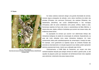 33 
 Fauna 
As matas costeiras costumam abrigar uma grande diversidade de animais, inclusive alguns ameaçados de extinção, como vários mamíferos da ordem dos primatas (Primates), dos carnívoros (Carnivora), dos roedores (Rodentia), dos desdentados (Xenarthra), das cuícas (Didelphimorphia) e dos morcegos (Chiroptera); além de outros vertebrados como peixes, anfíbios, répteis e aves. Numerosas espécies da fauna são únicas e características da Mata Atlântica: a maioria das aves, répteis, anfíbios e borboletas que ocorrem nas nossas matas, são endêmicas desse bioma. 
As populações de animais que ocorrem num determinado biótopo são indicadoras biológicas do estado de conservação do ambiente. Especialmente, as aves são muito utilizadas como esses indicadores biológicos. Um maior conhecimento delas pode subsidiarprogramas de conservação e manejo da mata. Por exemplo, como geralmente as espécies típicas de ambiente florestal são sensíveis ao desmatamento e à redução espacial do seu habitat, podem apresentar declínios populacionais locais, mesmo que a alteração seja mínima. 
Particularmente, a FURB Mata de Passarinho, por ocupar uma área territorial bastante reduzida para abrigar animais de médio e grande porte, ou até aqueles de pequeno porte que necessitam de territórioscommaior área vegetada para sobreviver, certamente não possui esses animais. 
Foto 13 - Bicho-preguiça 
http://www.cprh.pe.gov.br/unidades_conservacao/Protecao_Integral/Estacao_Ecologica_ESEC 
 
