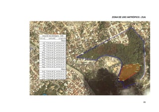 65 
ZONA DE USO ANTRÓPICO - ZUA 
 