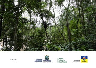 1 
Secretaria de 
Meio Ambiente 
Secretaria de 
Meio Ambiente 
e Sustentabilidade 
Realização: 
