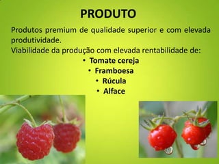 PRODUTO
Produtos premium de qualidade superior e com elevada
produtividade.
Viabilidade da produção com elevada rentabilidade de:
• Tomate cereja
• Framboesa
• Rúcula
• Alface
 
