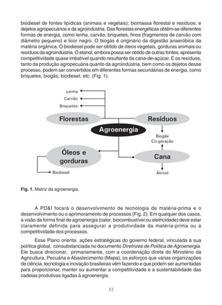 biodiesel de fontes lipídicas (animais e vegetais); biomassa florestal e resíduos; e 
dejetos agropecuários e da agroindústria. Das florestas energéticas obtêm-se diferentes 
formas de energia, como lenha, carvão, briquetes, finos (fragmentos de carvão com 
diâmetro pequeno) e licor negro. O biogás é originário da digestão anaeróbica da 
matéria orgânica. O biodiesel pode ser obtido de óleos vegetais, gorduras animais ou 
resíduos da agroindústria. O etanol, embora possa ser obtido de outras fontes, apresenta 
competitividade quase imbatível quando resultante da cana-de-açúcar. E os resíduos, 
tanto da produção agropecuária quanto da agroindústria, bem como os dejetos desse 
processo, podem ser convertidos em diferentes formas secundárias de energia, como 
briquetes, biogás, biodiesel, etc. (Fig. 1). 
13 
Fig. 1. Matriz da agroenergia. 
A PD&I focará o desenvolvimento de tecnologia de matéria-prima e o 
desenvolvimento ou o aprimoramento de processos (Fig. 2). Em qualquer dos casos, 
a visão da forma final de agroenergia (calor, biocombustível ou eletricidade) deve estar 
claramente definida para assegurar a produtividade da matéria-prima ou a 
competitividade dos processos. 
Esse Plano orienta ações estratégicas do governo federal, vinculada à sua 
política global, consubstanciada no documento Diretrizes de Política de Agroenergia. 
Ele busca direcionar, primariamente, com a coordenação direta do Ministério da 
Agricultura, Pecuária e Abastecimento (Mapa), os esforços que várias organizações 
de ciência, tecnologia e inovação brasileiras vêm fazendo e que podem ser aumentadas 
para proporcionar, manter ou aumentar a competitividade e a sustentabilidade das 
cadeias produtivas ligadas à agroenergia. 
 