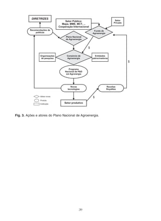 Fig. 3. Ações e atores do Plano Nacional de Agroenergia. 
39 
 