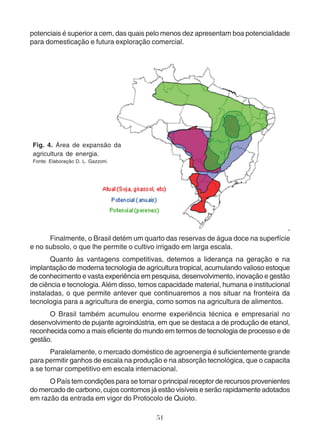 potenciais é superior a cem, das quais pelo menos dez apresentam boa potencialidade 
para domesticação e futura exploração comercial. 
Finalmente, o Brasil detém um quarto das reservas de água doce na superfície 
e no subsolo, o que lhe permite o cultivo irrigado em larga escala. 
Quanto às vantagens competitivas, detemos a liderança na geração e na 
implantação de moderna tecnologia de agricultura tropical, acumulando valioso estoque 
de conhecimento e vasta experiência em pesquisa, desenvolvimento, inovação e gestão 
de ciência e tecnologia. Além disso, temos capacidade material, humana e institucional 
instaladas, o que permite antever que continuaremos a nos situar na fronteira da 
tecnologia para a agricultura de energia, como somos na agricultura de alimentos. 
O Brasil também acumulou enorme experiência técnica e empresarial no 
desenvolvimento de pujante agroindústria, em que se destaca a de produção de etanol, 
reconhecida como a mais eficiente do mundo em termos de tecnologia de processo e de 
gestão. 
Paralelamente, o mercado doméstico de agroenergia é suficientemente grande 
para permitir ganhos de escala na produção e na absorção tecnológica, que o capacita 
a se tornar competitivo em escala internacional. 
O País tem condições para se tornar o principal receptor de recursos provenientes 
do mercado de carbono, cujos contornos já estão visíveis e serão rapidamente adotados 
em razão da entrada em vigor do Protocolo de Quioto. 
51 
Fig. 4. Área de expansão da 
agricultura de energia. 
Fonte: Elaboração D. L. Gazzoni. 
 
