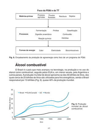 Fig. 8. Encadeamento da produção de agroenergia como foco de um programa de PD&I. 
Álcool combustível 
O Brasil é o país que mais avançou na tecnologia, na produção e no uso do 
etanol como combustível, seguido pelos EUA e, em menor escala, pela Argentina e 
outros países. A produção mundial de álcool aproxima-se dos 40 bilhões de litros, dos 
quais cerca de 25 bilhões de litros são utilizados para fins energéticos, sendo o Brasil 
responsável por 15 bilhões (Fig. 9), quase 40% da produção mundial. 
63 
Fig. 9. Produção 
mundial de álcool 
combustível. 
 