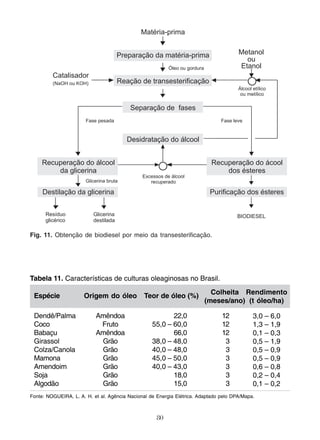 Fig. 11. Obtenção de biodiesel por meio da transesterificação. 
Tabela 11. Características de culturas oleaginosas no Brasil. 
Teor de óleo (%) 
55,0 – 60,0 
38,0 – 48,0 
40,0 – 48,0 
45,0 – 50,0 
40,0 – 43,0 
80 
Espécie 
Dendê/Palma 
Coco 
Babaçu 
Girassol 
Colza/Canola 
Mamona 
Amendoim 
Soja 
Algodão 
Origem do óleo 
Amêndoa 
Fruto 
Amêndoa 
Grão 
Grão 
Grão 
Grão 
Grão 
Grão 
22,0 
66,0 
18,0 
15,0 
Colheita 
(meses/ano) 
12 
12 
12 
3 
3 
3 
3 
3 
3 
Rendimento 
(t óleo/ha) 
3,0 – 6,0 
1,3 – 1,9 
0,1 – 0,3 
0,5 – 1,9 
0,5 – 0,9 
0,5 – 0,9 
0,6 – 0,8 
0,2 – 0,4 
0,1 – 0,2 
Fonte: NOGUEIRA, L. A. H. et al. Agência Nacional de Energia Elétrica. Adaptado pelo DPA/Mapa. 
 
