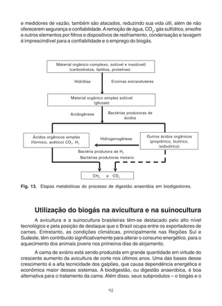 e medidores de vazão, também são atacados, reduzindo sua vida útil, além de não 
oferecerem segurança e confiabilidade. A remoção de água, CO2, gás sulfídrico, enxofre 
e outros elementos por filtros e dispositivos de resfriamento, condensação e lavagem 
é imprescindível para a confiabilidade e o emprego do biogás. 
Fig. 13. Etapas metabólicas do processo de digestão anaeróbia em biodigestores. 
Utilização do biogás na avicultura e na suinocultura 
A avicultura e a suinocultura brasileiras têm-se destacado pelo alto nível 
tecnológico e pela posição de destaque que o Brasil ocupa entre os exportadores de 
carnes. Entretanto, as condições climáticas, principalmente nas Regiões Sul e 
Sudeste, têm contribuído significativamente para alterar o consumo energético, para o 
aquecimento dos animais jovens nos primeiros dias de alojamento. 
A cama de aviário está sendo produzida em grande quantidade em virtude do 
crescente aumento da avicultura de corte nos últimos anos. Uma das bases desse 
crescimento é a alta tecnicidade dos galpões, que causa dependência energética e 
econômica maior desses sistemas. A biodigestão, ou digestão anaeróbica, é boa 
alternativa para o tratamento da cama. Além disso, seus subprodutos – o biogás e o 
92 
 
