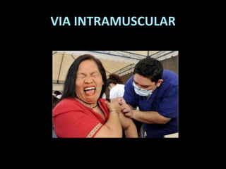 VIA INTRAMUSCULAR
 