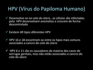 HPV (Vírus do Papiloma Humano)
 Desenvolve-se no colo do útero , as células são infectadas
  pelo HPV desenvolvem anomalias e crescem de forma
  descontrolada

 Existem 40 tipos diferentes HPV

 HPV 16 e 18 encontram-se entre os tipos mais comuns
  associados a cancro do colo do útero

 HPV 6 e 11 são os causadores da maioria dos casos de
  verrugas genitais, mas não estão associados a cancro do
  colo do útero
 