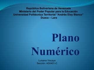 Plano
Numérico
Luisana Viscaya
Sección: AD0401-C
 