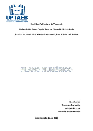 PLANO NUMERICO.pdf
