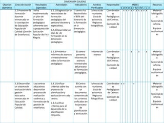 Plan Operativo Anual