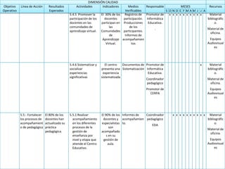 Plan Operativo Anual