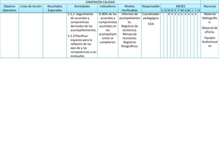 Plan Operativo Anual