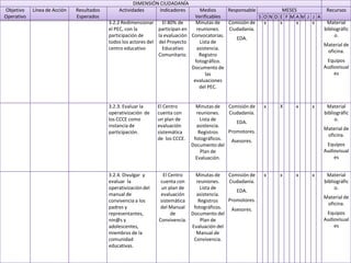 Plan Operativo Anual