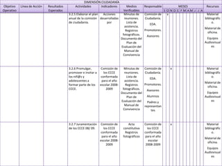 Plan Operativo Anual