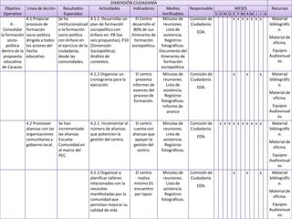 Plan Operativo Anual