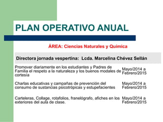 Plan operativo anual