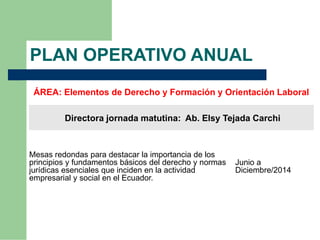 Plan operativo anual