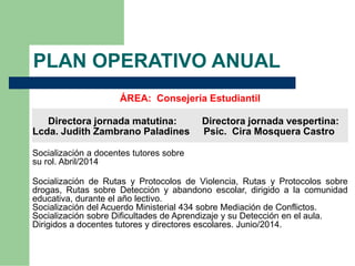 Plan operativo anual