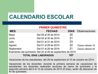 Plan operativo anual