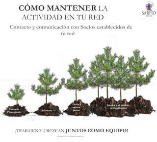 Contacto
Permanante
¡TRABAJEN Y CREZCAN JUNTOS COMO EQUIPO!
Copyright ©2014 by Oriflame Cosmetics SA
CÓMO MANTENER LA
ACTIVIDAD EN TU RED
Contacto y comunicación con Socios establecidos de
tu red.
Reconoce
Invita y
asistan
juntos
Inspira y sé modelo
de Duplicación
 