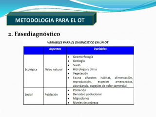 METODOLOGIA PARA EL OT
2. Fasediagnóstico
 