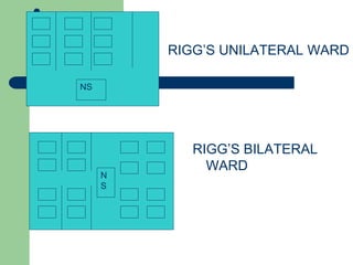 Plan & organiz hospital.pptx