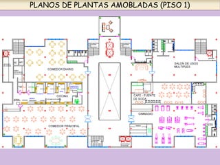 PLANOS DE PLANTAS AMOBLADAS (PISO 1)
 