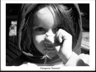 Patagonia “Antonia”
 