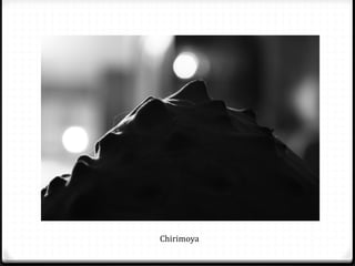 Chirimoya
 