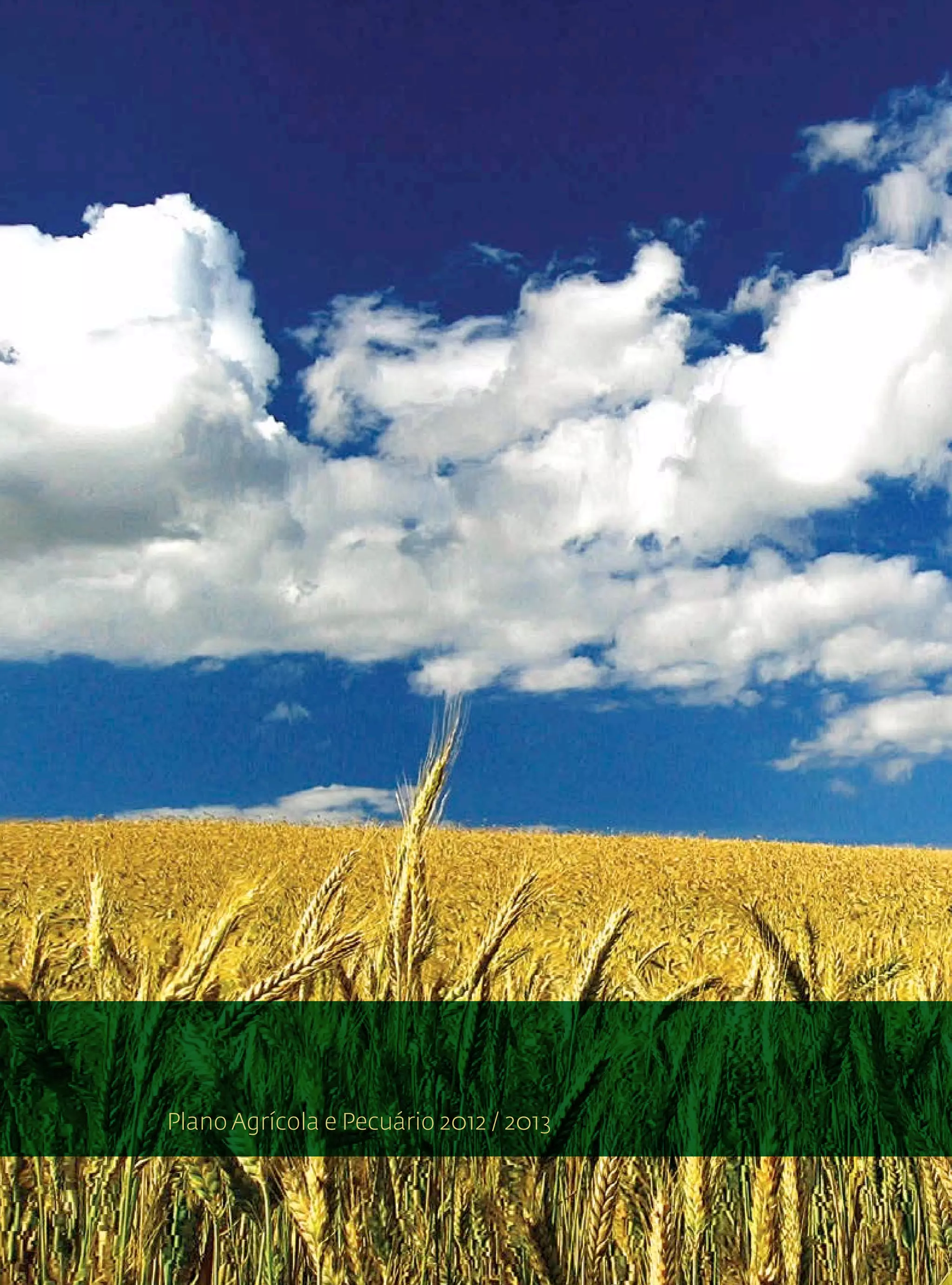Plano Agrícola e Pecuário 2012 / 2013



Plano Agrícola e Pecuário 2012 / 2013
 