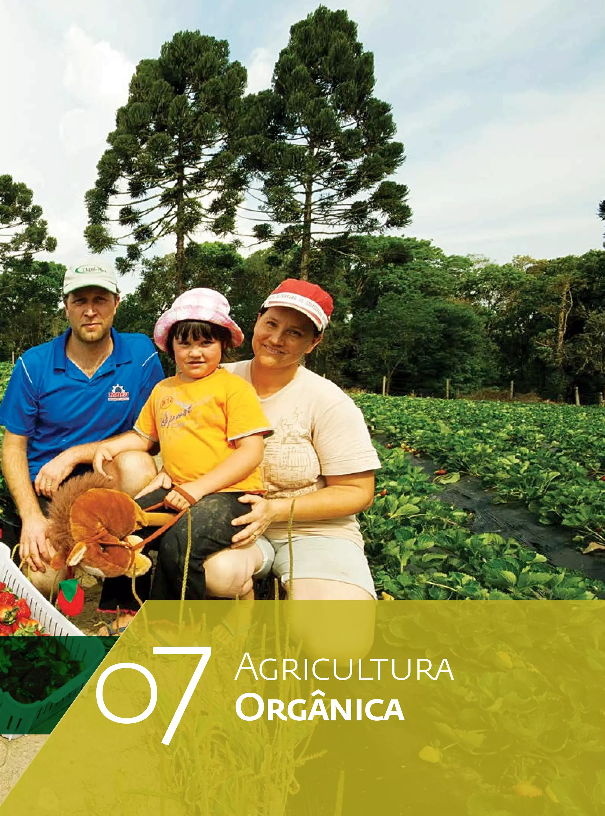 07   Agricultura
     Orgânica
                   92
                        93
 